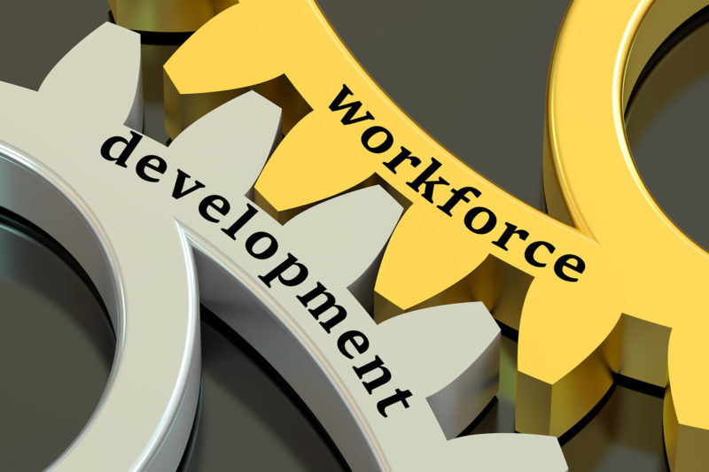 Workforce development sm